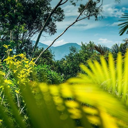 Bed and Breakfast Bella Vista Bellingen Exterior foto
