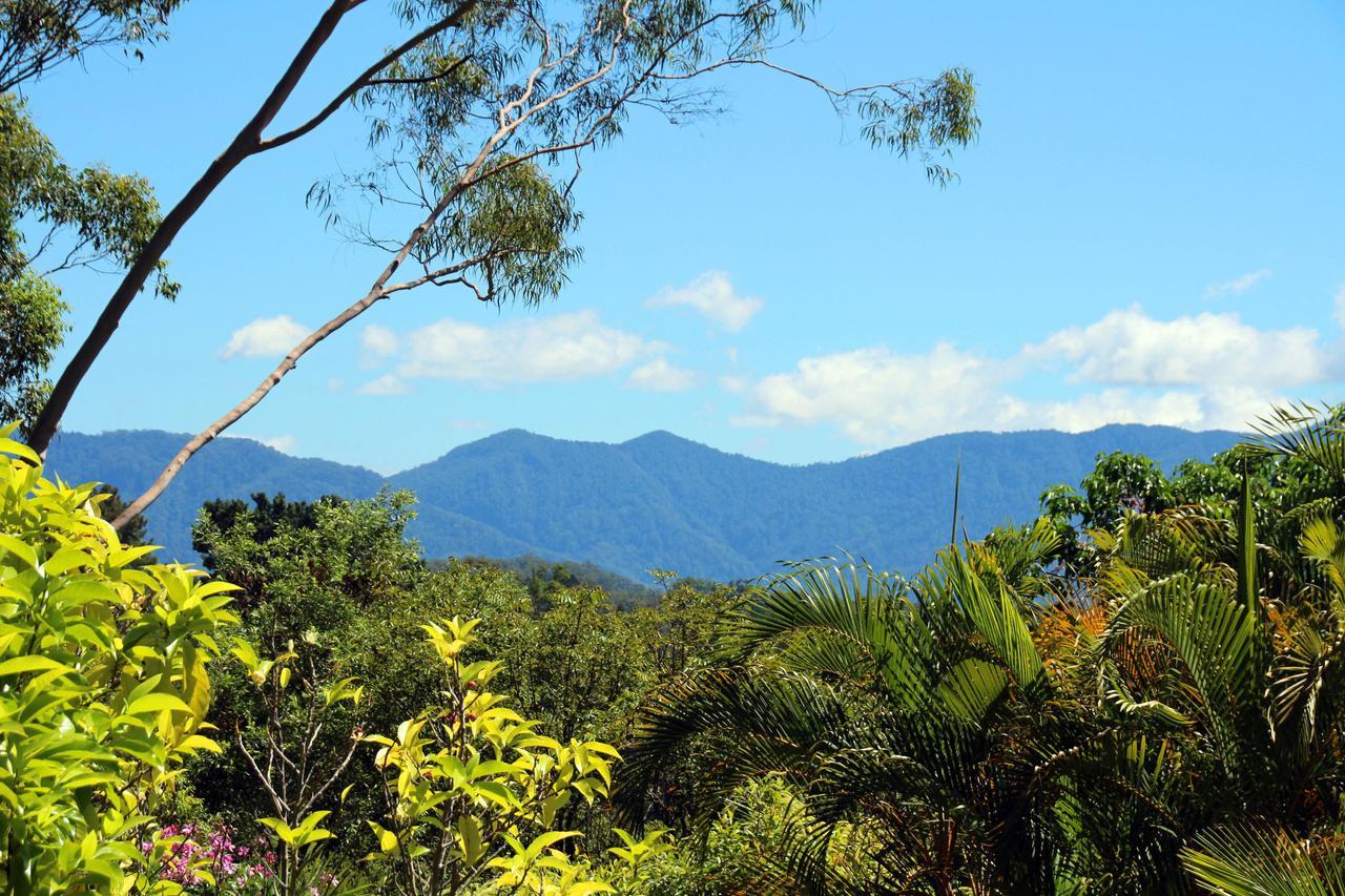 Bed and Breakfast Bella Vista Bellingen Exterior foto
