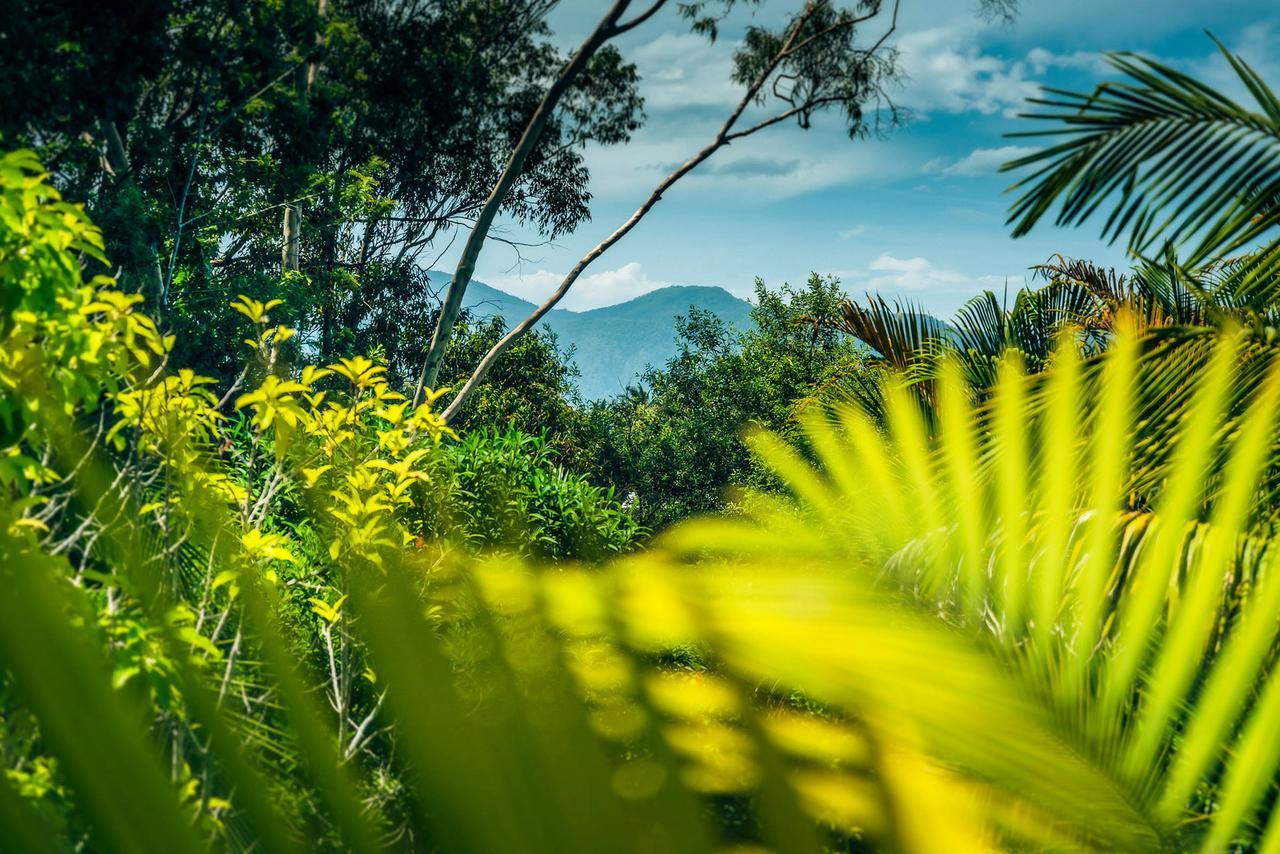 Bed and Breakfast Bella Vista Bellingen Exterior foto
