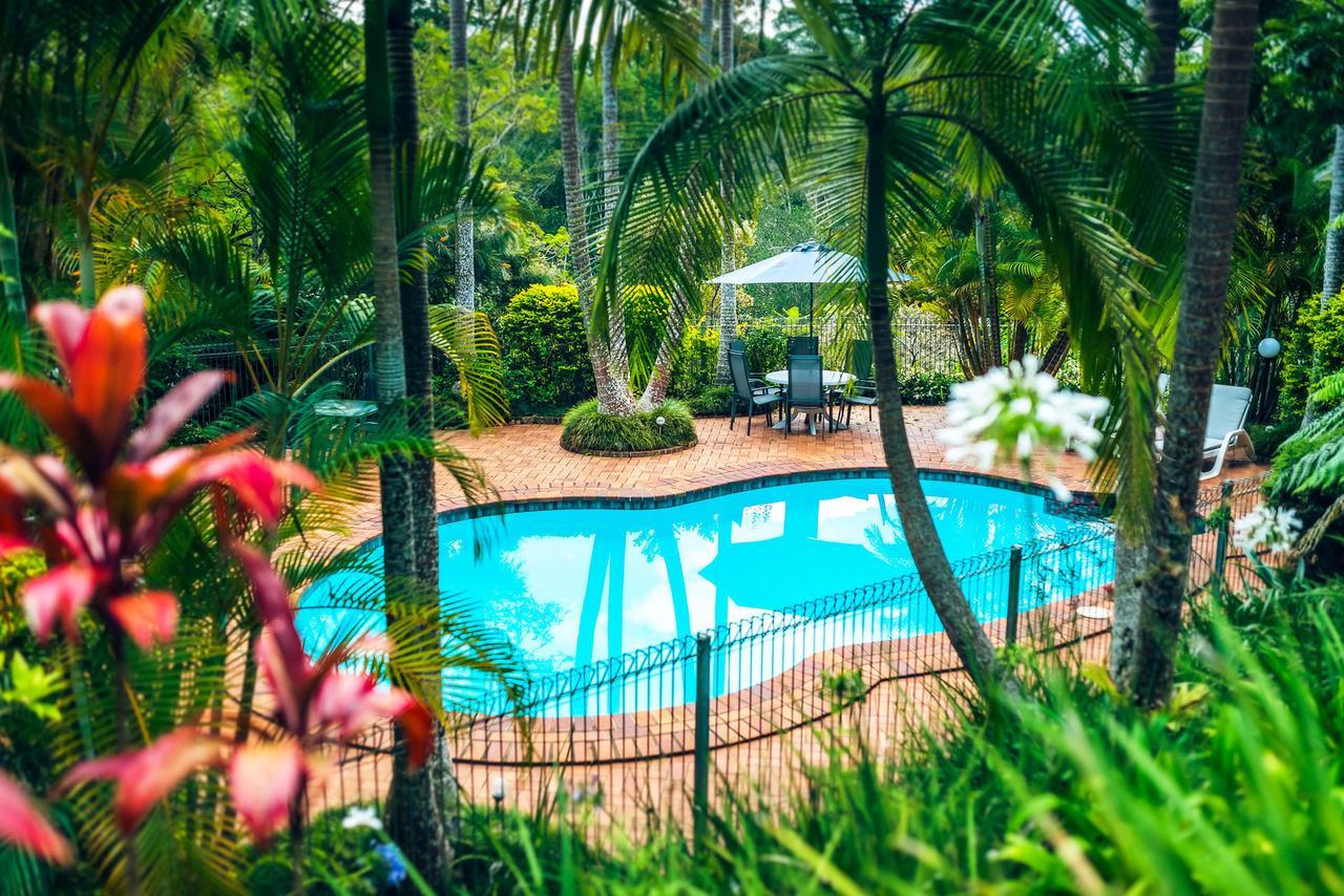 Bed and Breakfast Bella Vista Bellingen Exterior foto